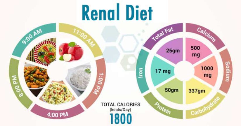 Navigating Renal Disorder: The Importance of Diet in Managing Symptoms